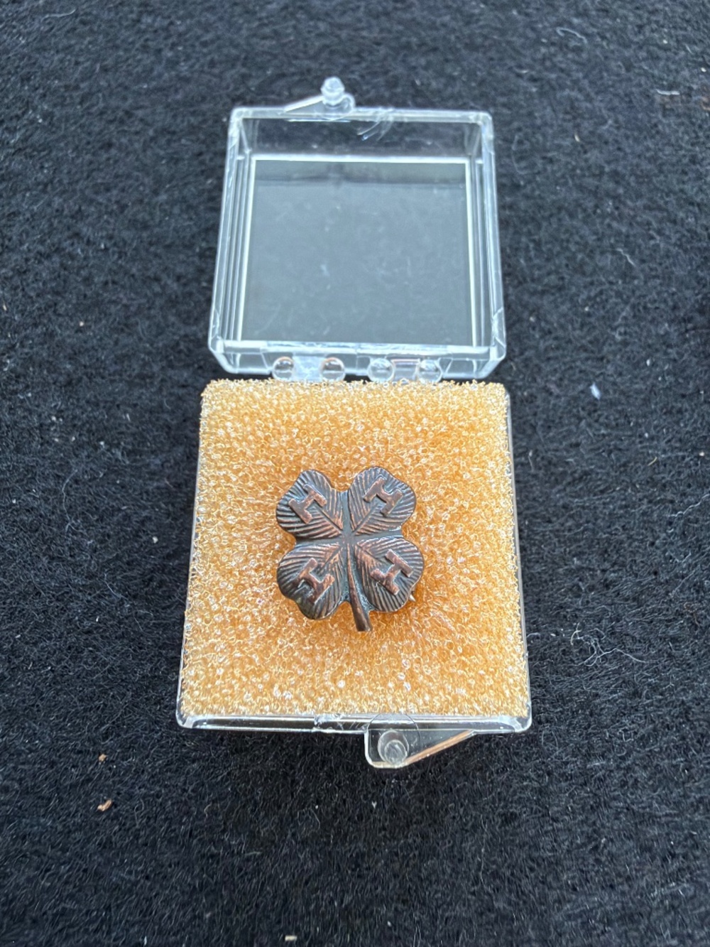 Vintage Antique Bronze 4-H Club